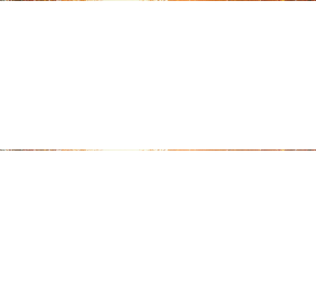 Ichirō | マルチファンクショナルフーディ